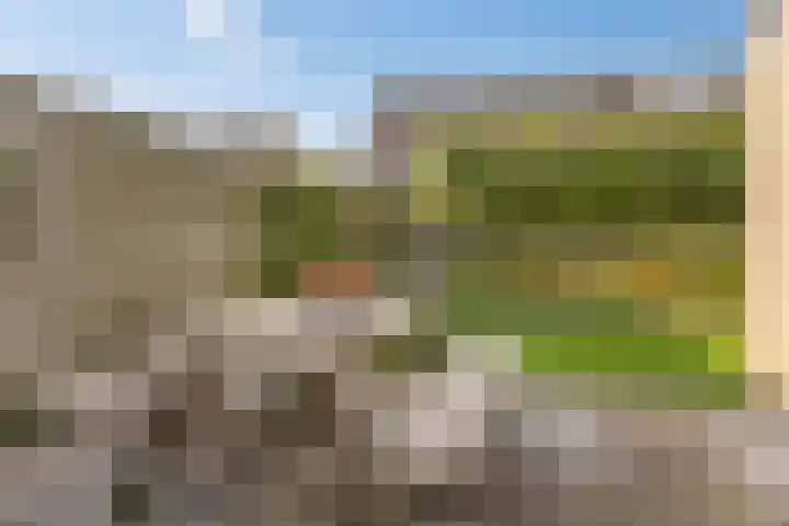 Lijster 42 Spanbroek thumbnail 48
