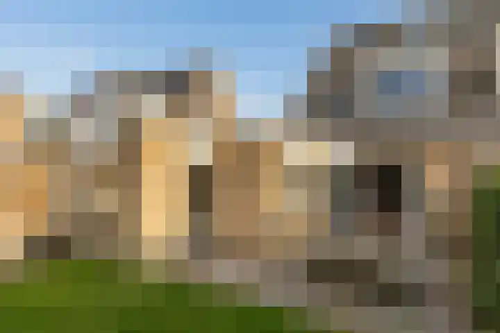 Lijster 42 Spanbroek thumbnail 50