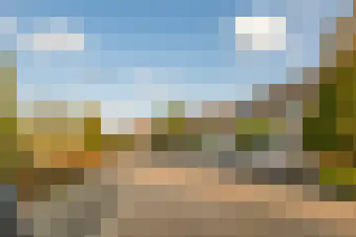 Lijster 42 Spanbroek thumbnail 53