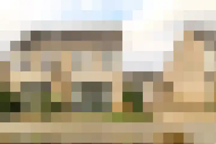 Lijster 42 Spanbroek thumbnail 55