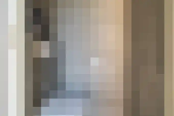 Lijster 48 Sprang-Capelle thumbnail 10
