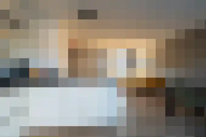 Lijster 48 Sprang-Capelle thumbnail 17