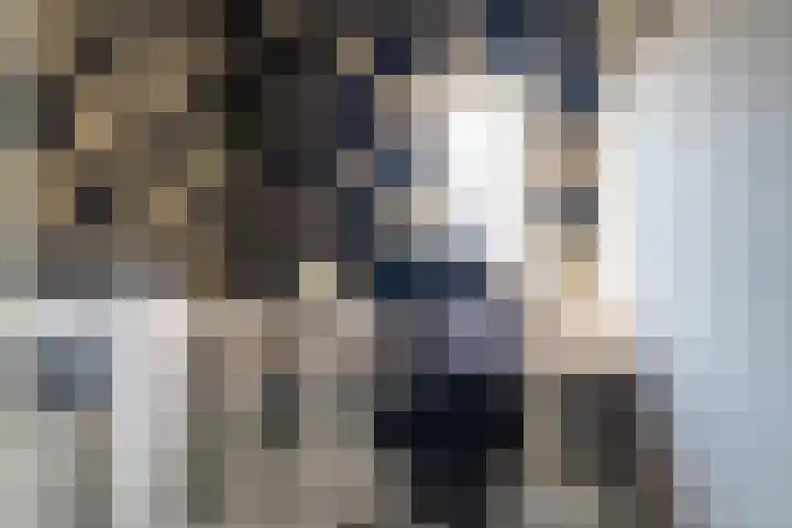 Lijster 48 Sprang-Capelle thumbnail 23
