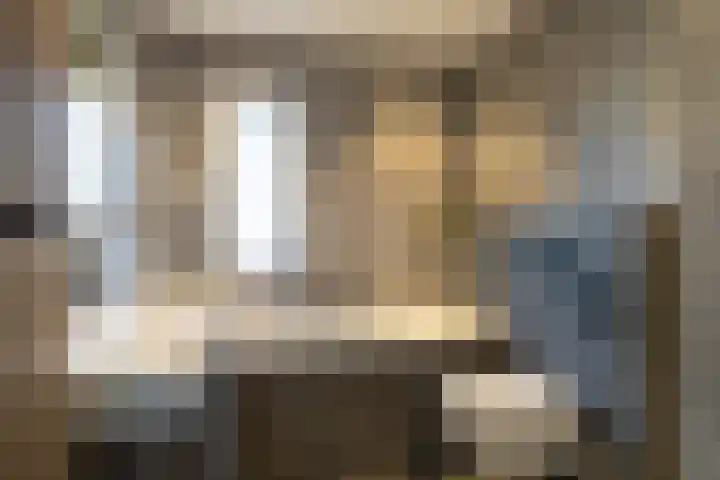 Lijster 48 Sprang-Capelle thumbnail 24