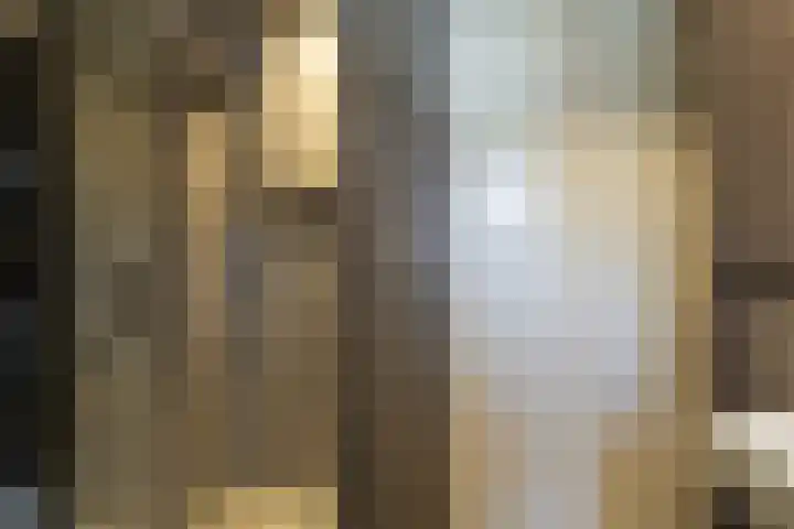 Lijster 48 Sprang-Capelle thumbnail 25
