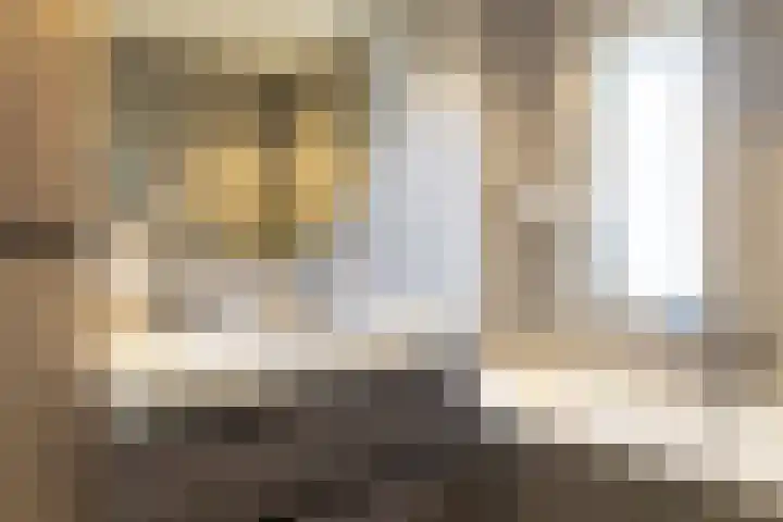 Lijster 48 Sprang-Capelle thumbnail 26