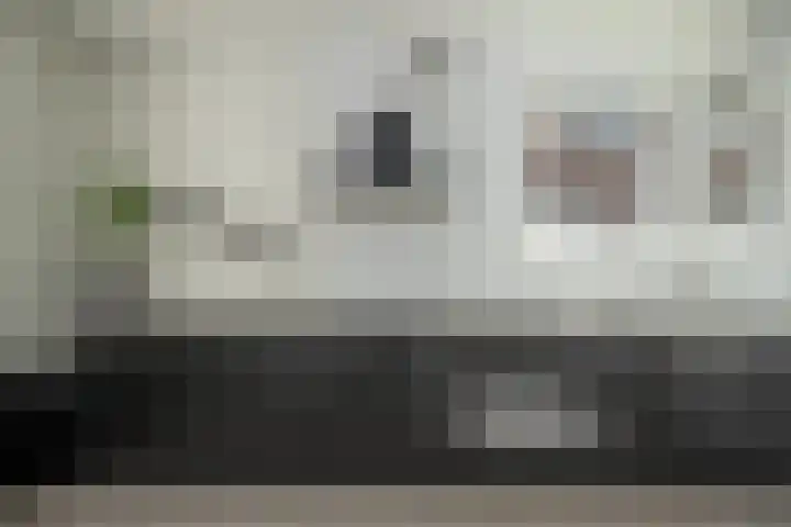Lijster 48 Sprang-Capelle thumbnail 30