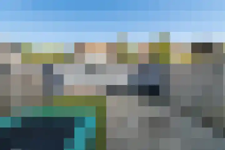 Lijster 48 Sprang-Capelle thumbnail 5
