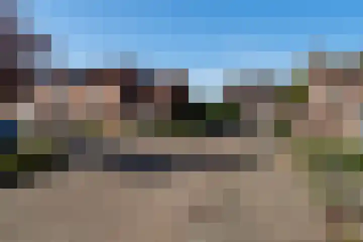 Lijster 48 Sprang-Capelle thumbnail 6