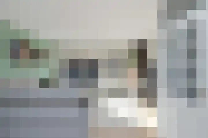 Lijster 5 Hoogvliet Rotterdam thumbnail 13