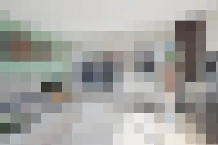 Lijster 5 Hoogvliet Rotterdam thumbnail 14