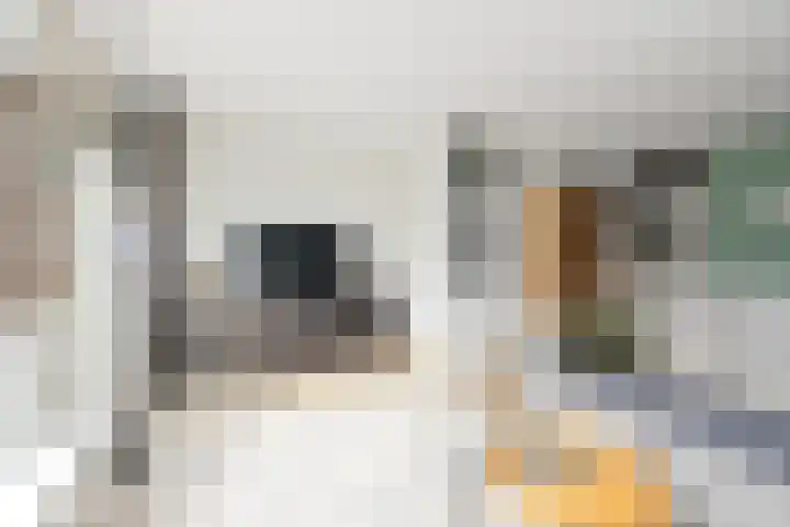Lijster 5 Hoogvliet Rotterdam thumbnail 15