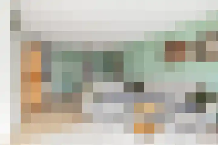 Lijster 5 Hoogvliet Rotterdam thumbnail 16