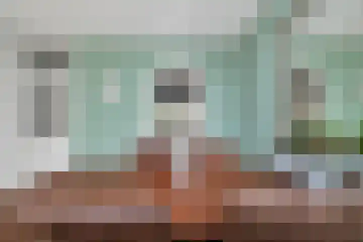 Lijster 5 Hoogvliet Rotterdam thumbnail 18