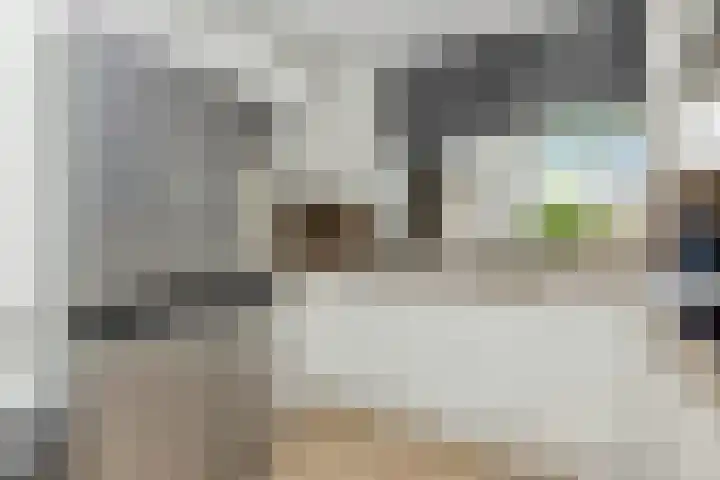 Lijster 5 Hoogvliet Rotterdam thumbnail 20