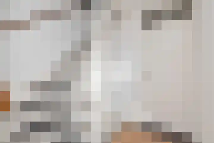 Lijster 5 Hoogvliet Rotterdam thumbnail 22