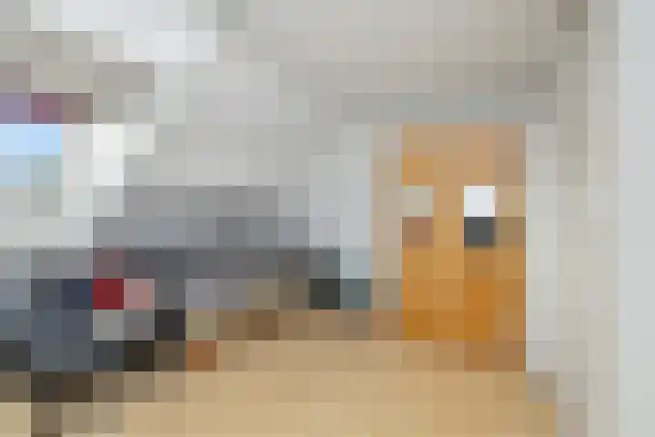 Lijster 5 Hoogvliet Rotterdam thumbnail 25