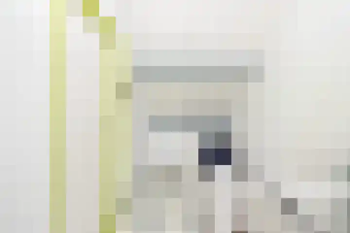 Lijster 5 Hoogvliet Rotterdam thumbnail 31