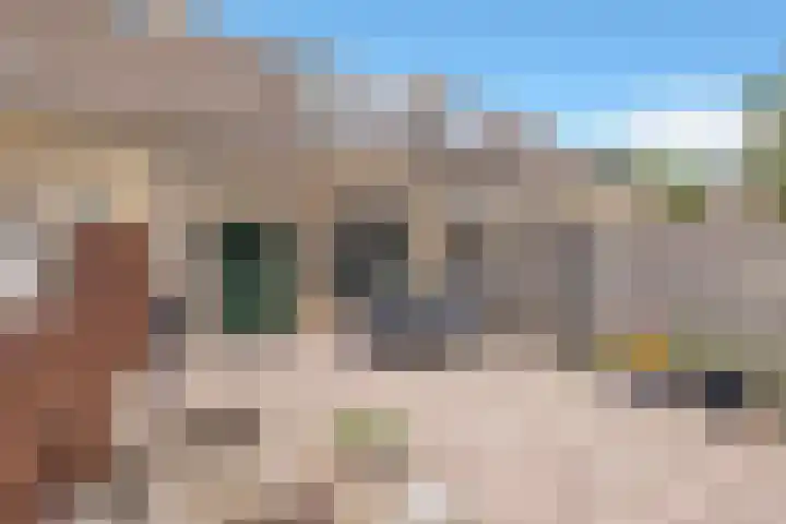 Lijster 5 Hoogvliet Rotterdam thumbnail 35