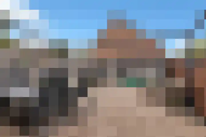Lijster 5 Hoogvliet Rotterdam thumbnail 36