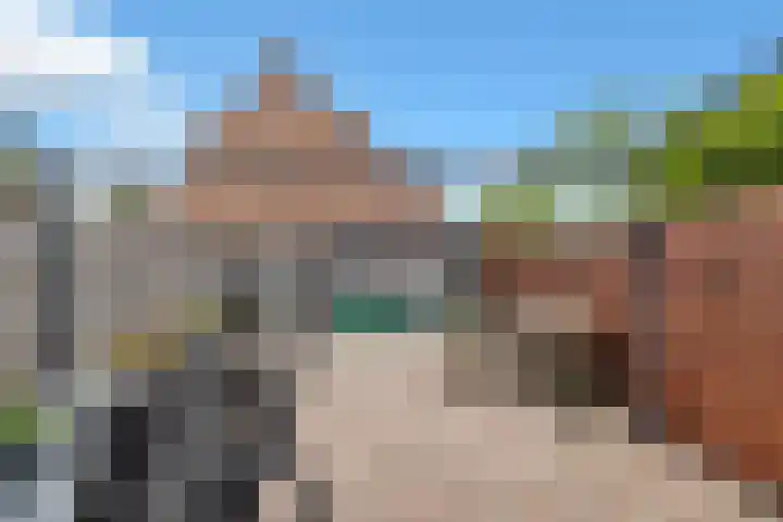 Lijster 5 Hoogvliet Rotterdam thumbnail 37