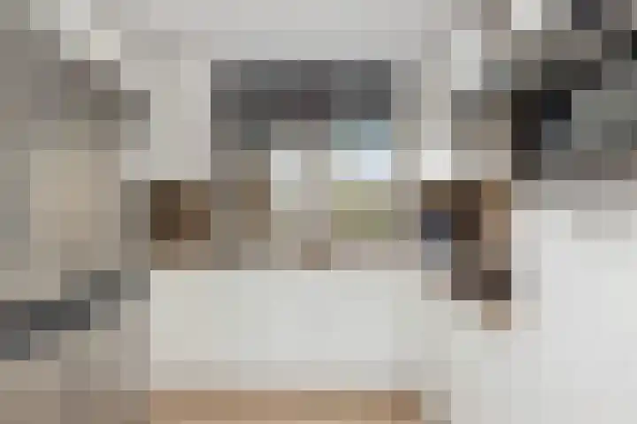 Lijster 5 Hoogvliet Rotterdam thumbnail 4