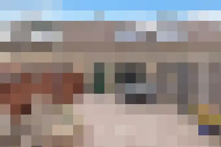 Lijster 5 Hoogvliet Rotterdam thumbnail 5
