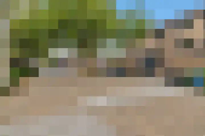Lijster 5 Hoogvliet Rotterdam thumbnail 6