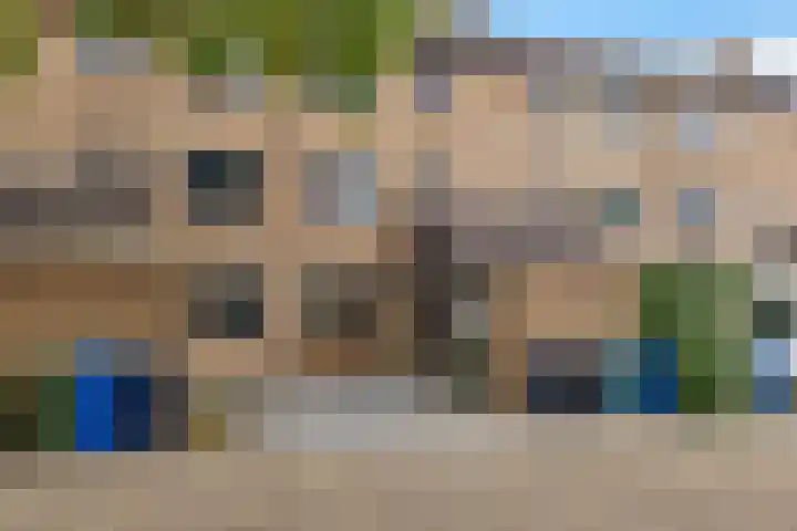 Lijster 5 Hoogvliet Rotterdam thumbnail 8