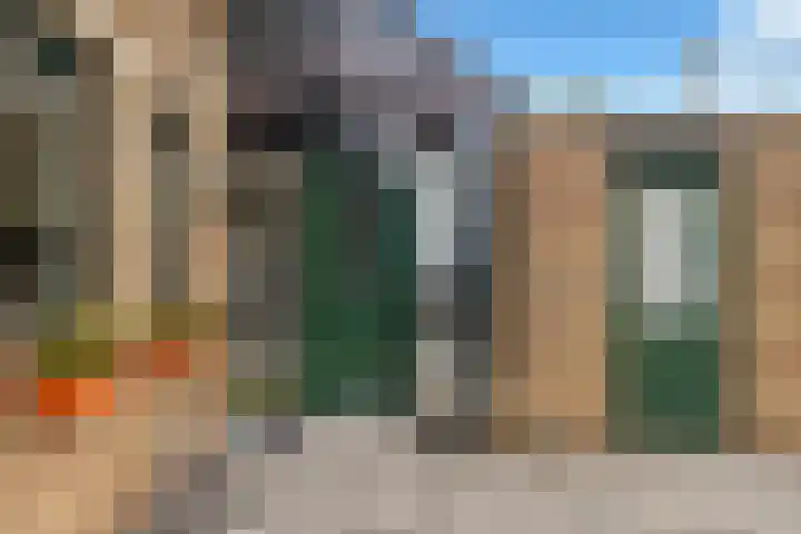 Lijster 5 Hoogvliet Rotterdam thumbnail 9