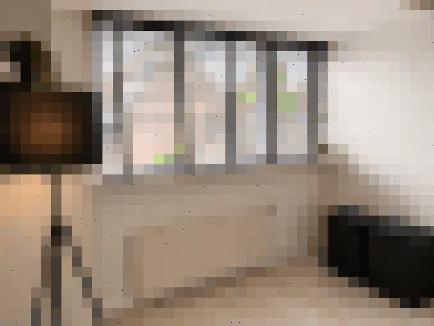 Lijster 5 Sprang-Capelle thumbnail 11