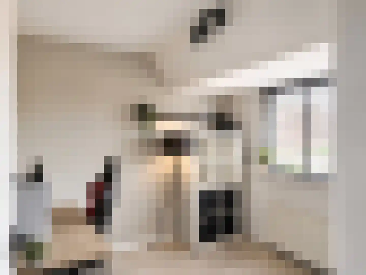 Lijster 5 Sprang-Capelle thumbnail 12