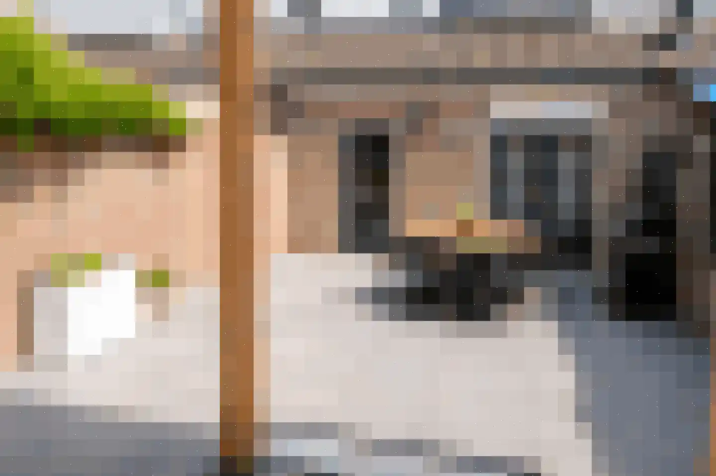 Lijster 5 Sprang-Capelle thumbnail 20