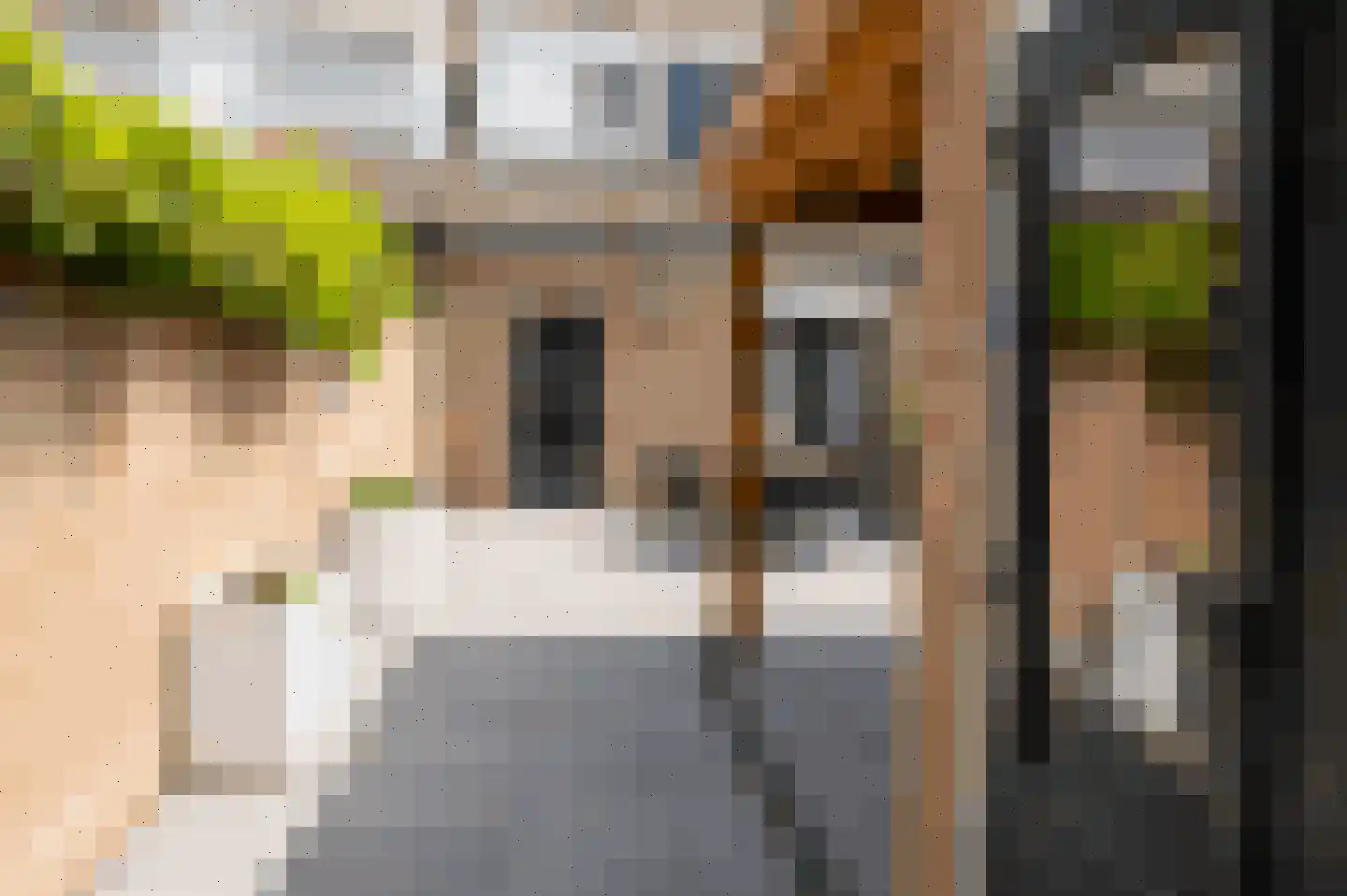 Lijster 5 Sprang-Capelle thumbnail 23