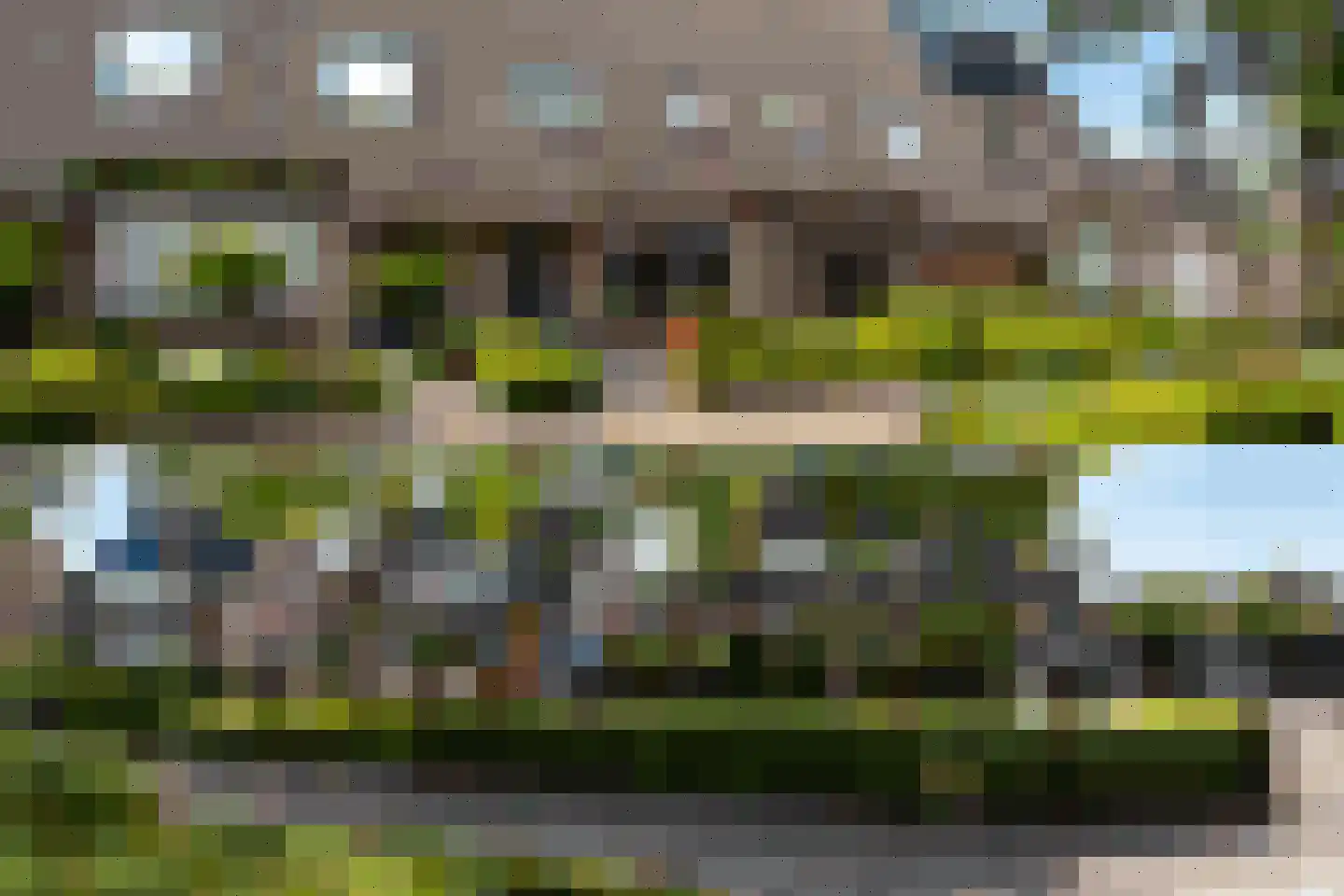 Lijster 5 Sprang-Capelle thumbnail 24