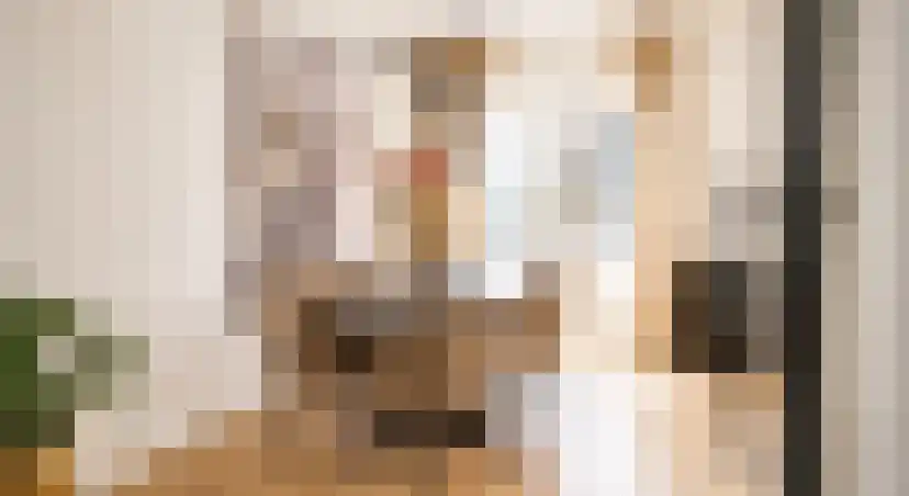 Lijster 5 Sprang-Capelle thumbnail 4