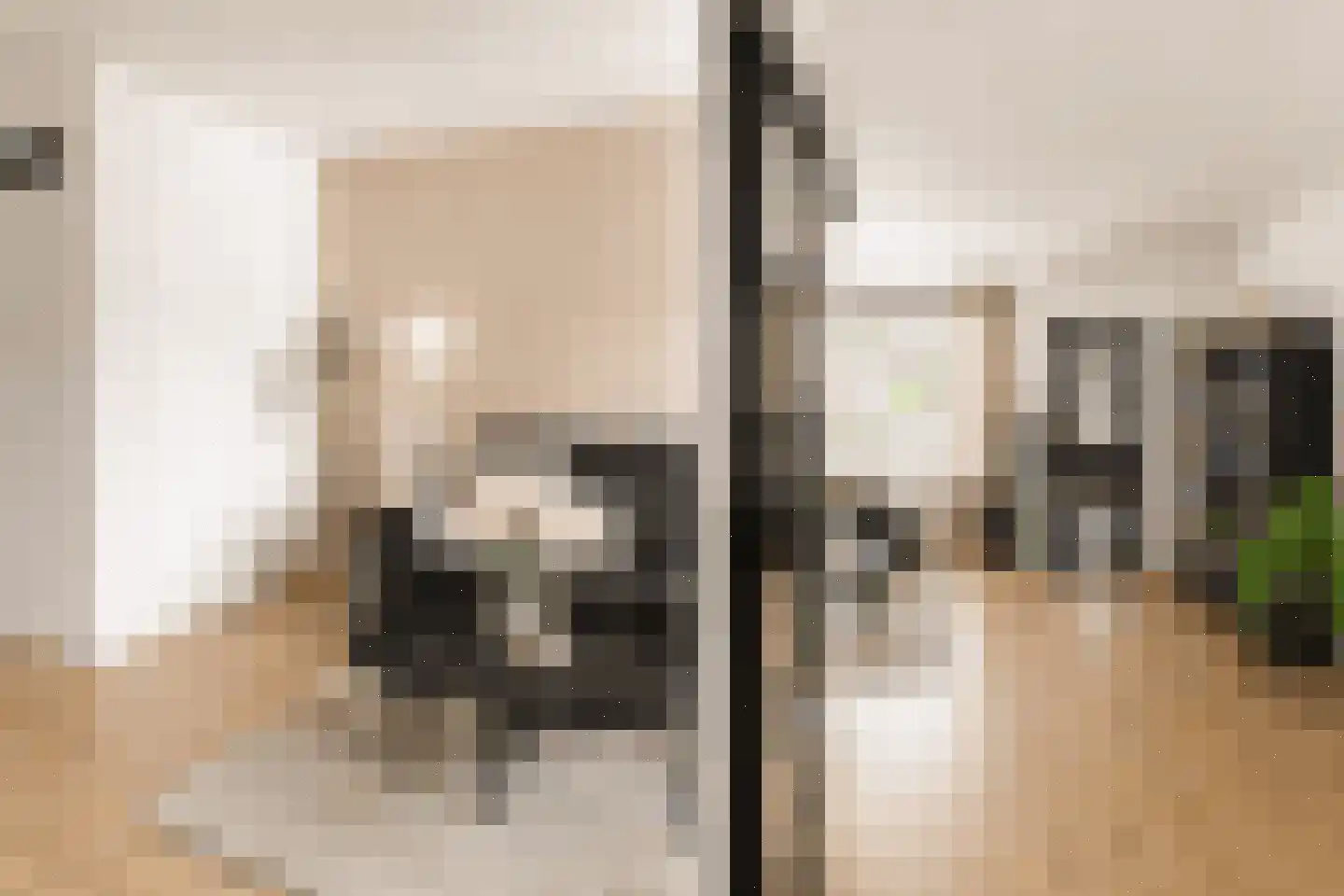 Lijster 5 Sprang-Capelle thumbnail 5