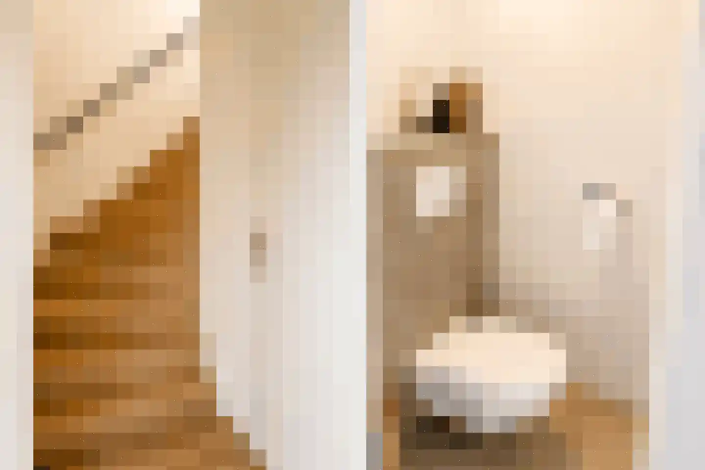 Lijster 5 Sprang-Capelle thumbnail 9