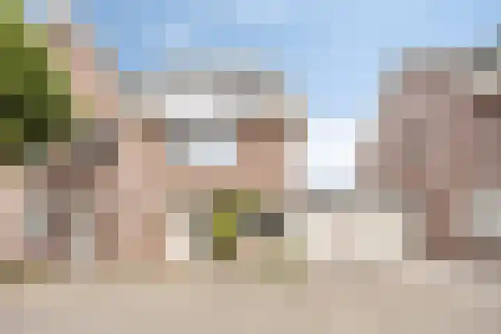 Lijster 6 dans Eijsden