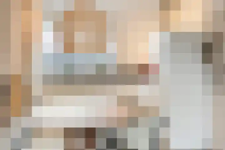 Lijster 6 Eijsden thumbnail 10