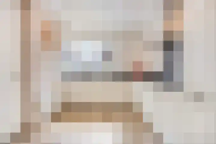 Lijster 6 Eijsden thumbnail 12