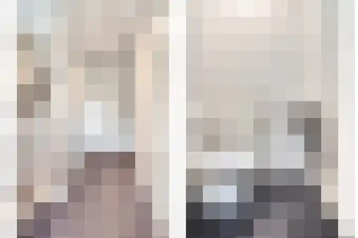 Lijster 6 Eijsden thumbnail 16