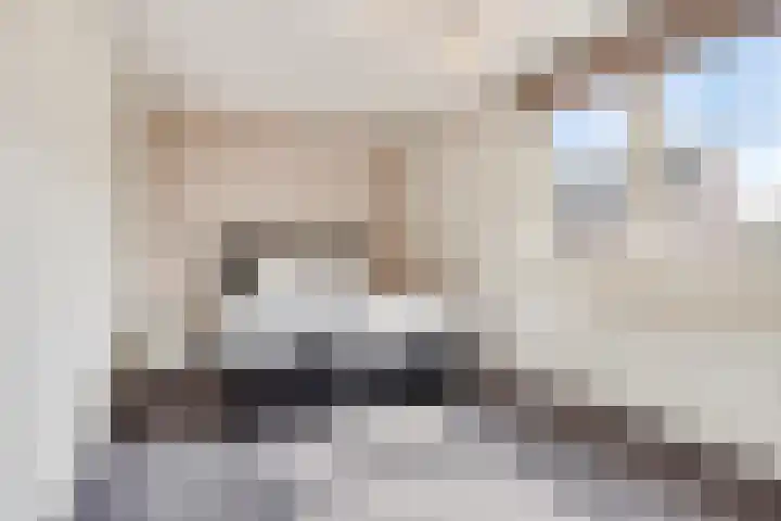 Lijster 6 Eijsden thumbnail 17