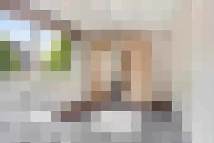 Lijster 6 Eijsden thumbnail 18