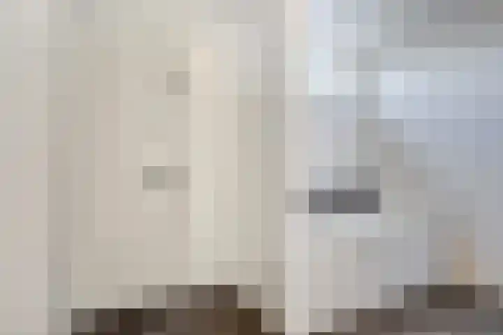 Lijster 6 Eijsden thumbnail 19