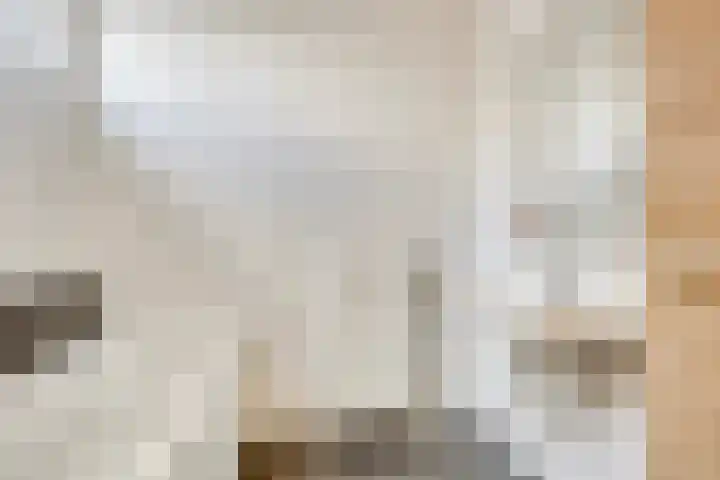 Lijster 6 Eijsden thumbnail 20