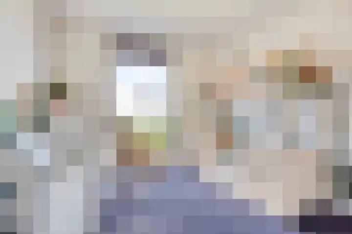 Lijster 6 Eijsden thumbnail 22