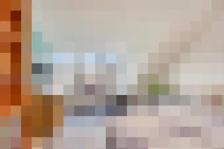 Lijster 6 Eijsden thumbnail 25