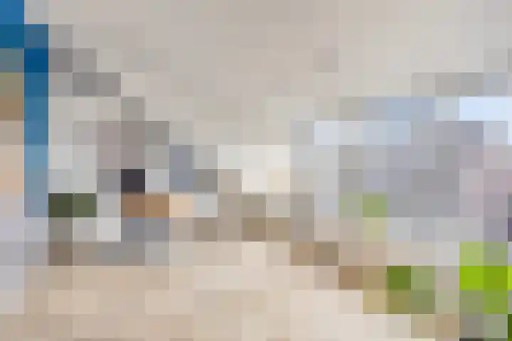 Lijster 6 Eijsden thumbnail 26