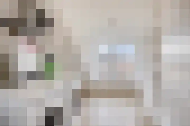 Lijster 6 Eijsden thumbnail 27